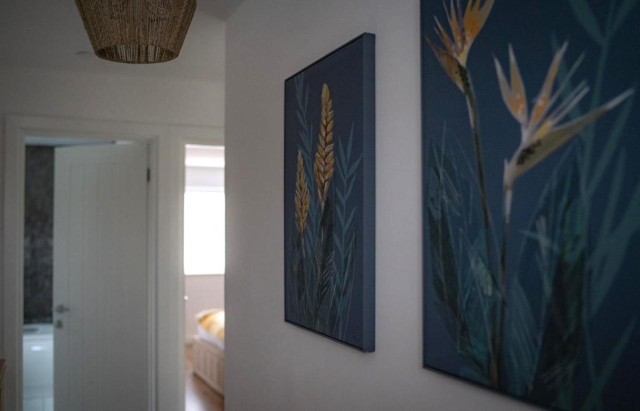 The Red House Modern Stylish Home From Home Walking Distance To Cardiff Bay And City Centre With Parking Buitenkant foto